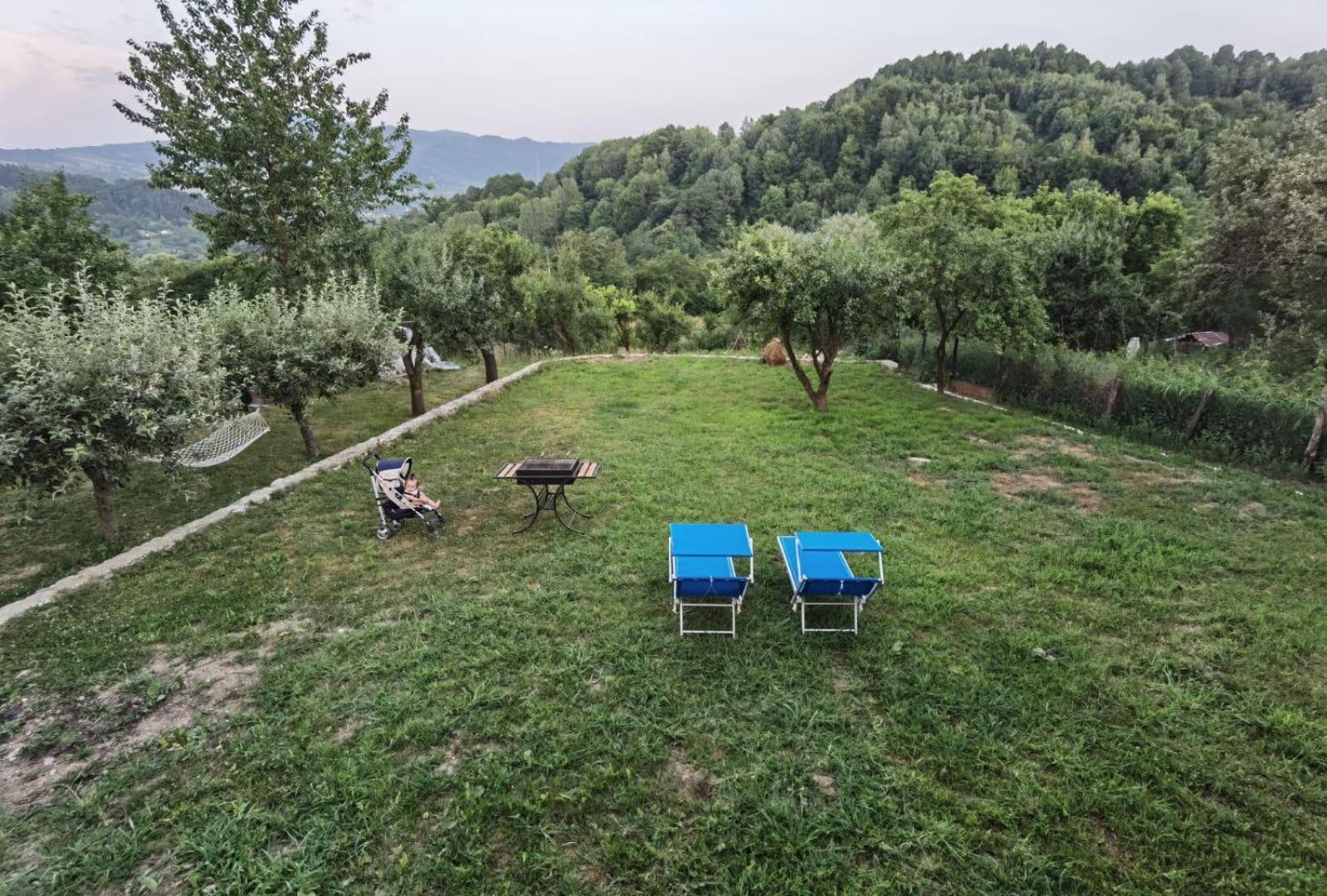 Villa Vila Ella Căpăţîneni-Ungureni Exterior foto