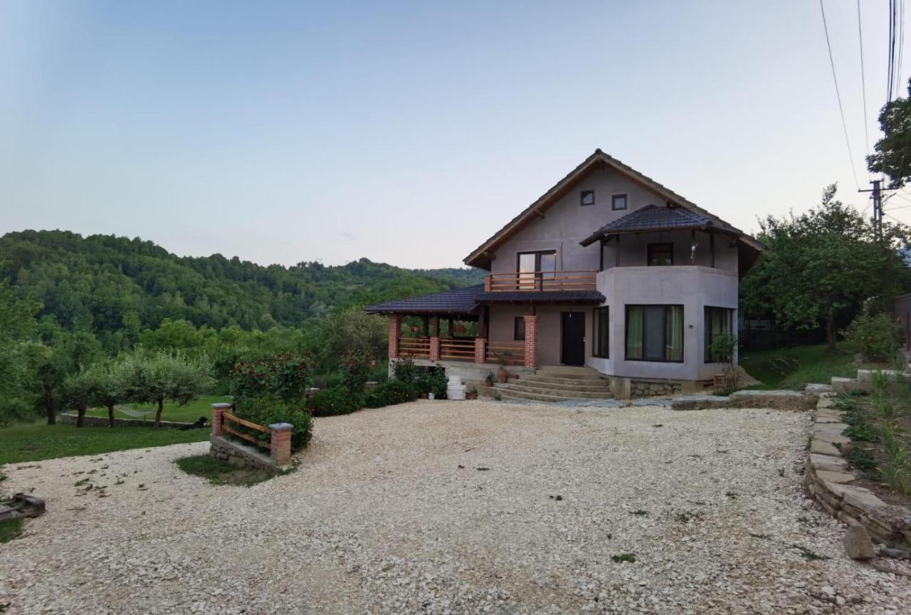 Villa Vila Ella Căpăţîneni-Ungureni Exterior foto